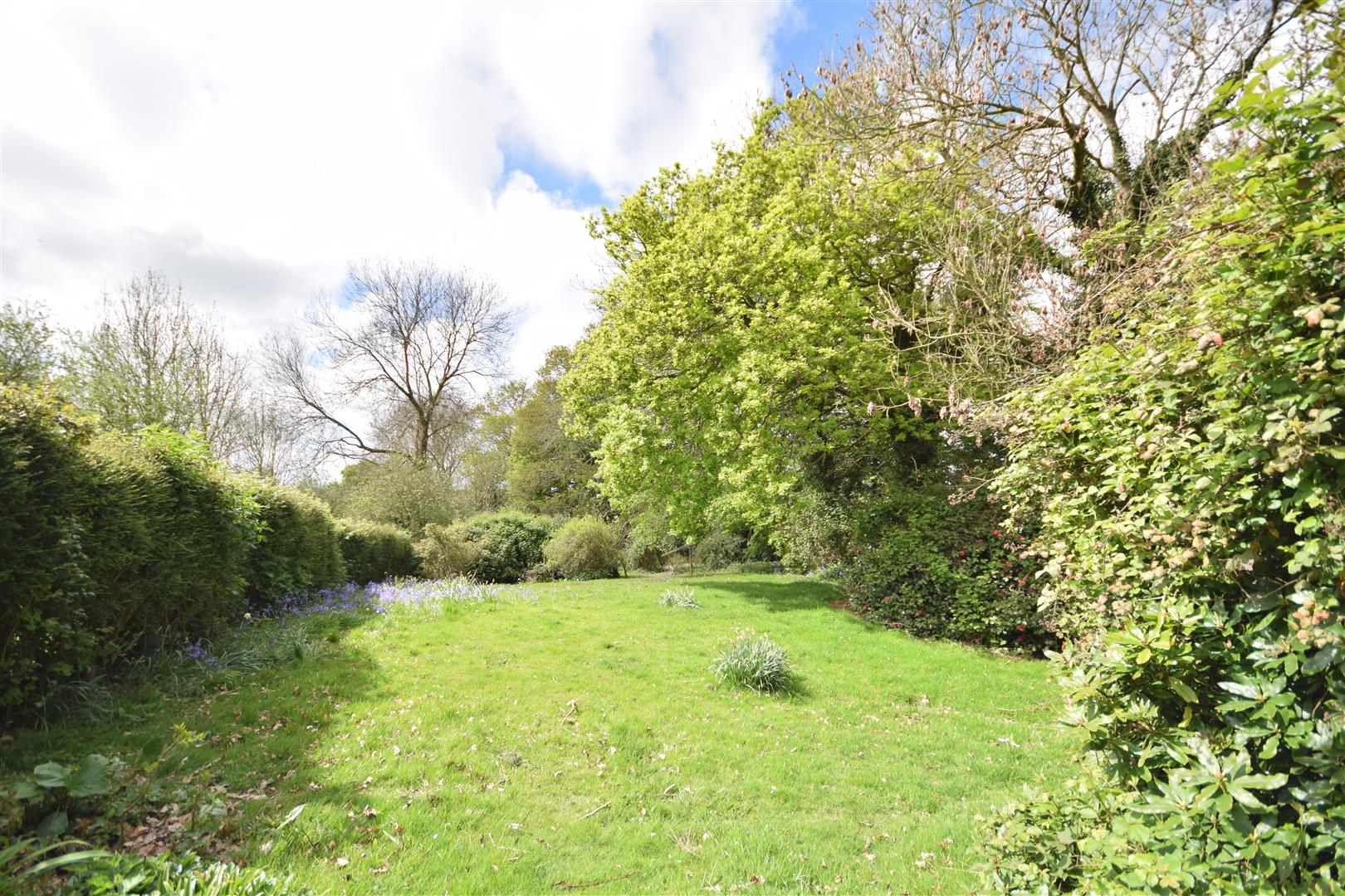 Road, Broad Oak, Rye Rush, Witt & Wilson
